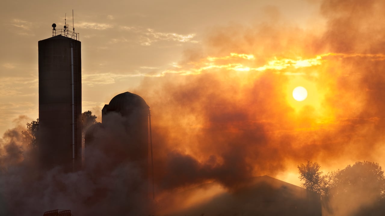 En la última década, las olas de calor fueron frecuentes y las temperaturas de la superficie fueron las más cálidas jamás registradas.