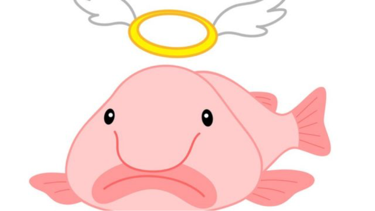 6 datos curiosos sobre el "animal más feo del mundo