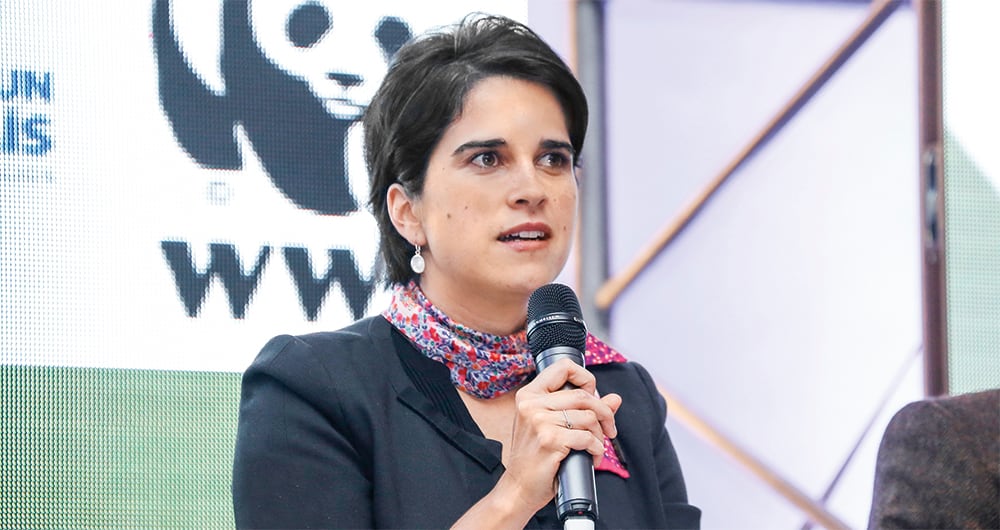 pdvsa ¿sale a la venta?_4