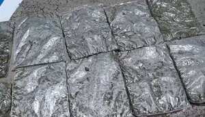 Marihuana decomisada.