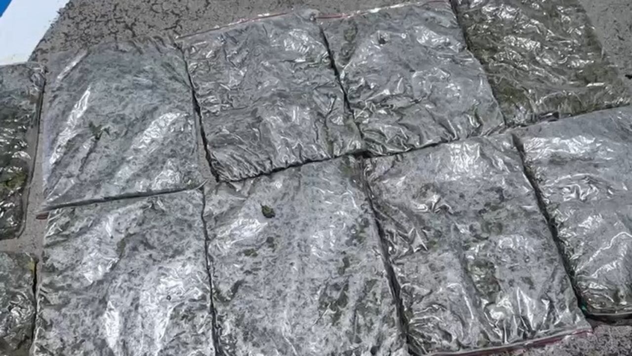 Marihuana decomisada.