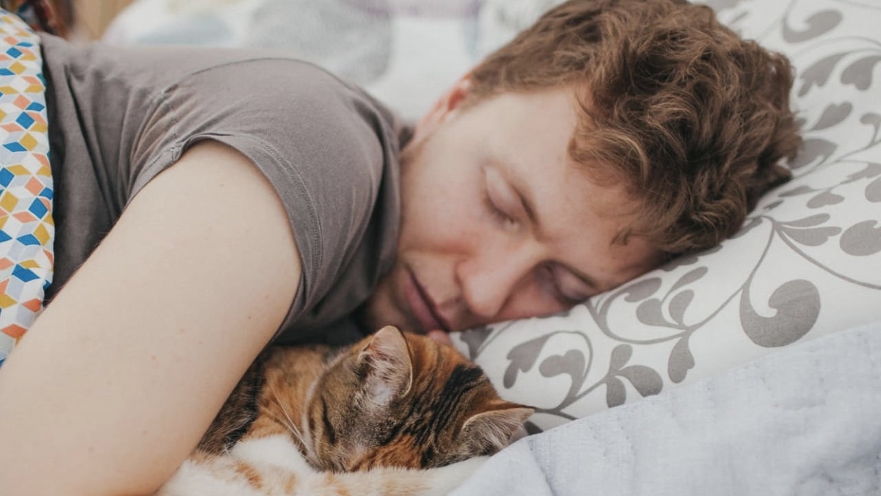 Dormir todos los días con esta mascota podría traer daños para el organismo.