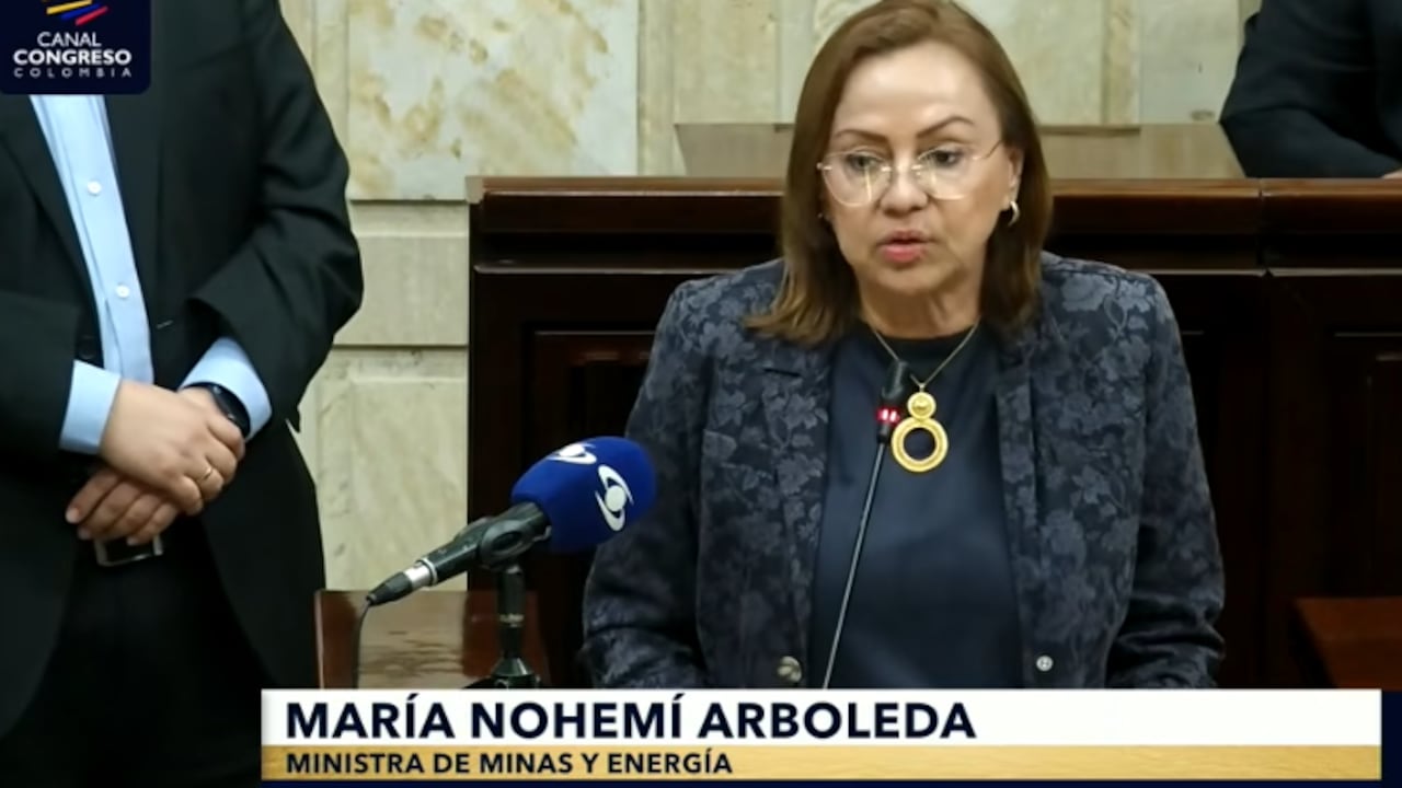 María Nohemí Arboleda, ministra de Minas y Energía, en debate de control político en Comisión V de la Cámara