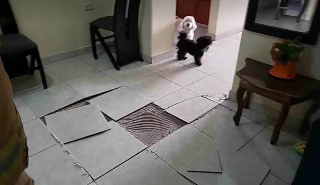 El piso se levantó en gran parte de una casa.