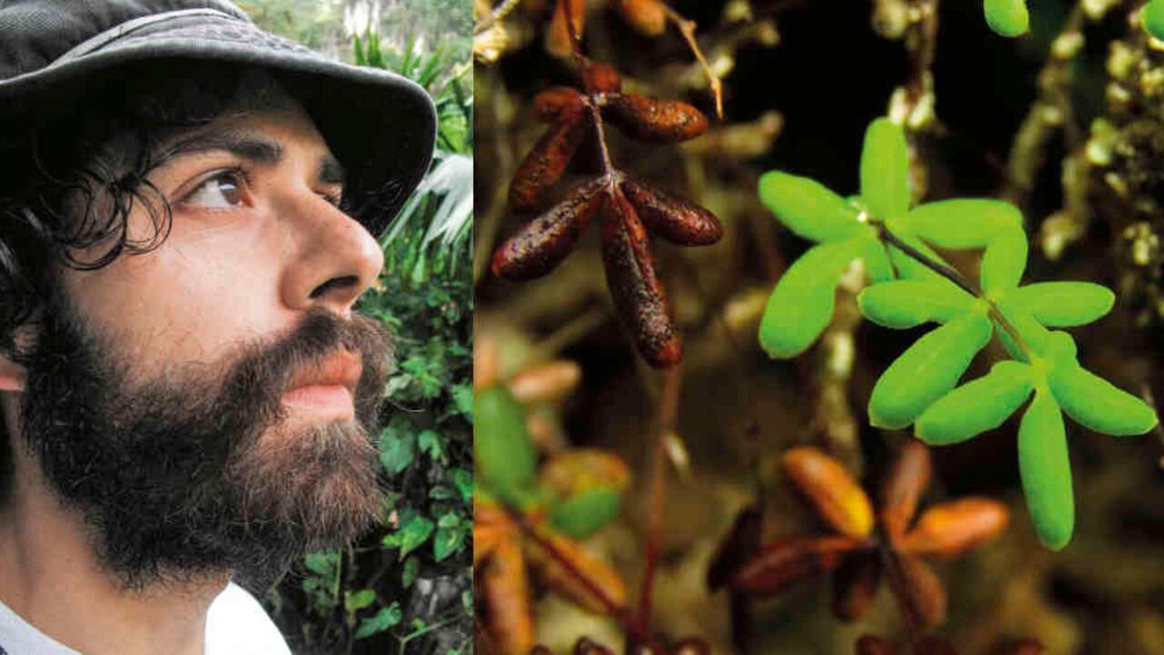 Cuando era niño, Mateo Hernández jugaba a convertirse en algún animal. Desde entonces nació su pasión por la biodiversidad, un estudio de la naturaleza en el que lleva más de tres décadas.