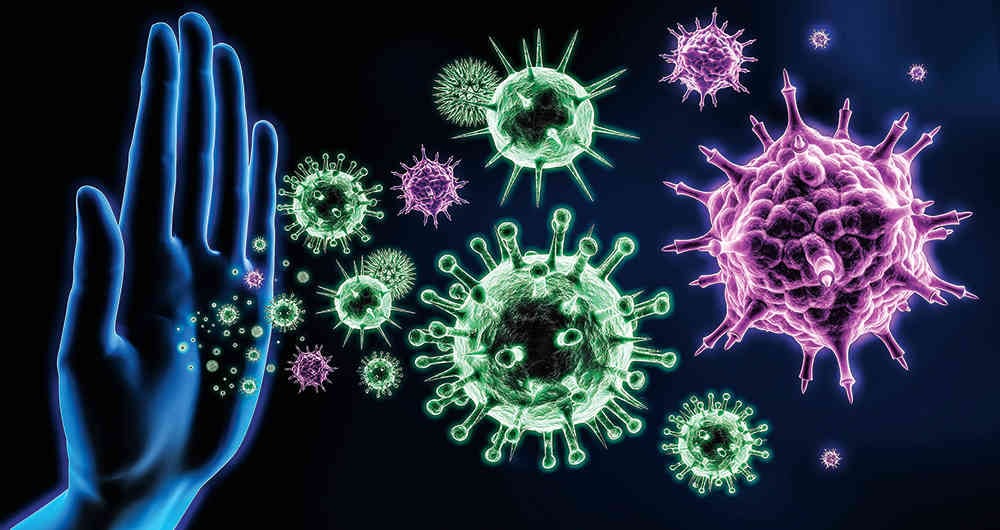 El Mieloma Múltiple (MM), es el tipo de cáncer que afecta a las células plasmáticas, que son las que se encargan de combatir las infecciones mediante la fabricación de anticuerpos que reconocen y atacan los gérmenes