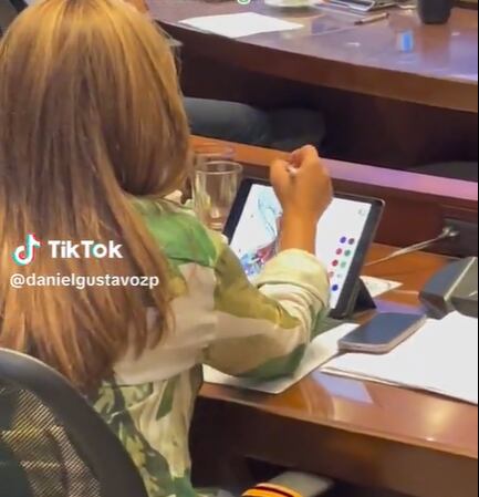 El video fue divulgado a través de redes sociales