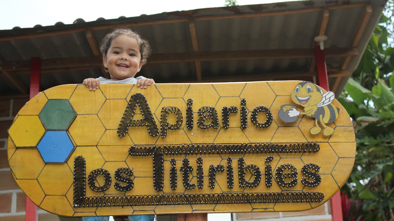 El municipio de Titibirí cuenta con 11 apiarios y 162 colmenas.