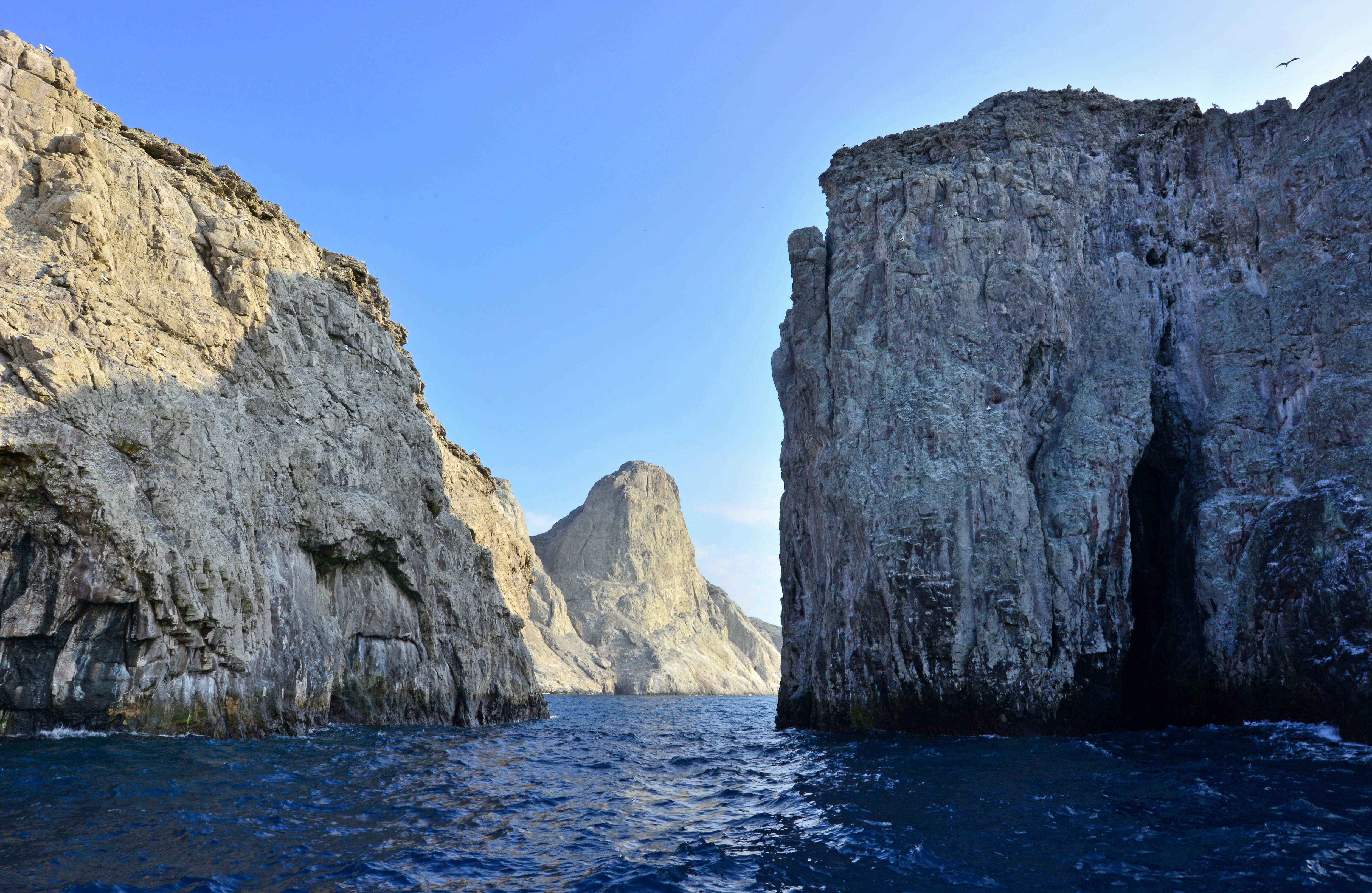 La Isla de Malpelo, perteneciente al municipio de Buenaventura, es el destino ideal para conocer especies de fauna como las estrellas de mar, el tiburón martillo y las mantarrayas. Su imponente santuario es uno de los lugares preferidos en el mundo para practicar buceo. Foto: Cortesía Getty Images