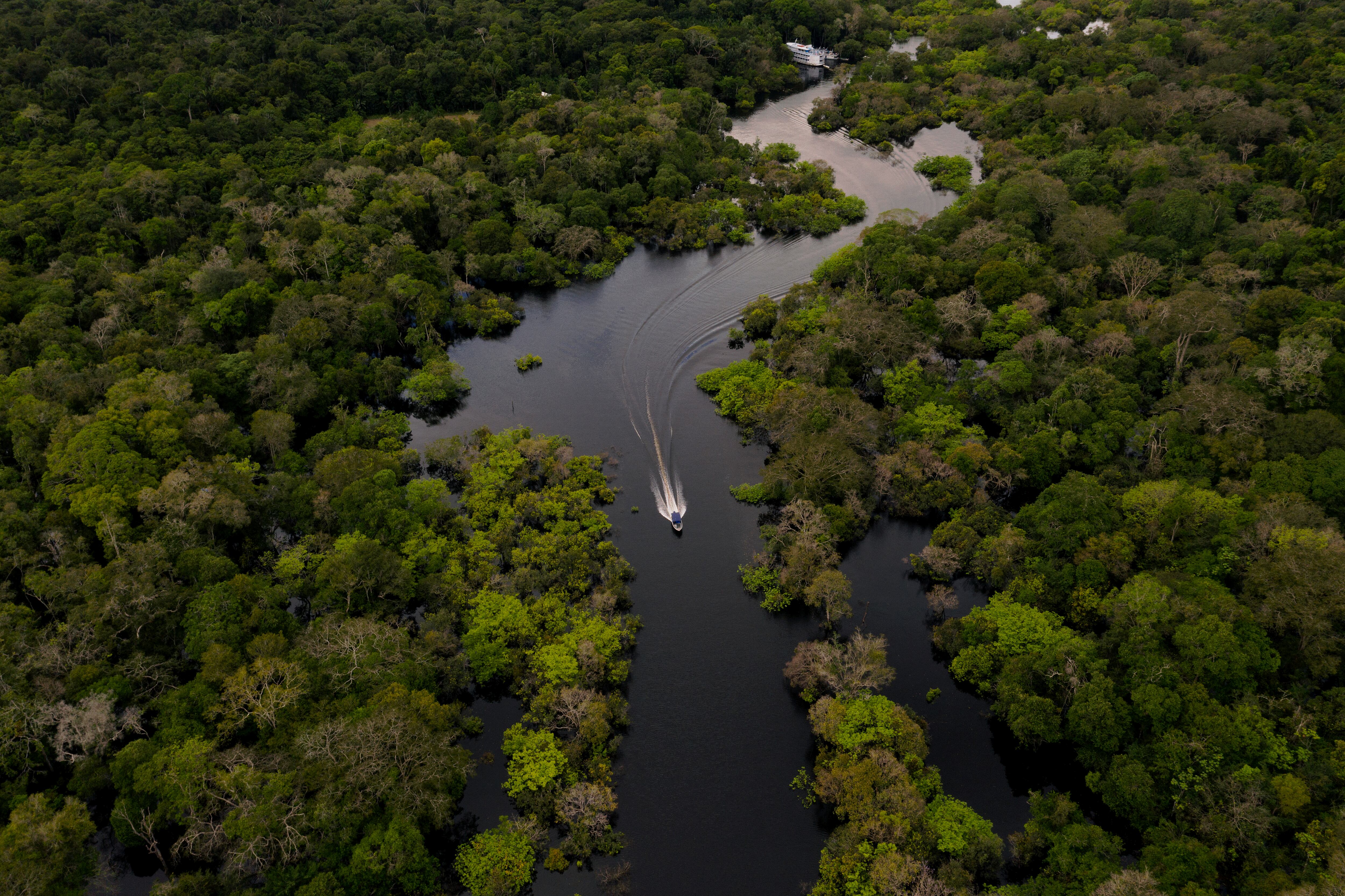 Rio amazonas