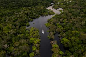(FILES) Aerial view showing a boat speeding on the Jurura river in the municipality of Carauari, in the heart of the Brazilian Amazon Forest, on March 15, 2020. What's the longest river in the world, the Nile or the Amazon? The question has fueled a heated debate for years. Now, an expedition into the South American jungle aims to settle it for good. Using boats powered by solar energy and pedal power, an international team of explorers plans to set off in April 2024 to definitively establish the source of the Amazon in the Peruvian Andes, then travel nearly 7,000 kilometers (4,350 miles) across Colombia and Brazil, to the massive river's mouth on the Atlantic. (Photo by Florence GOISNARD / AFP)