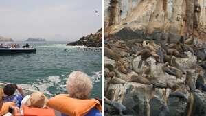 Visita a las Islas Palomino, Perú.