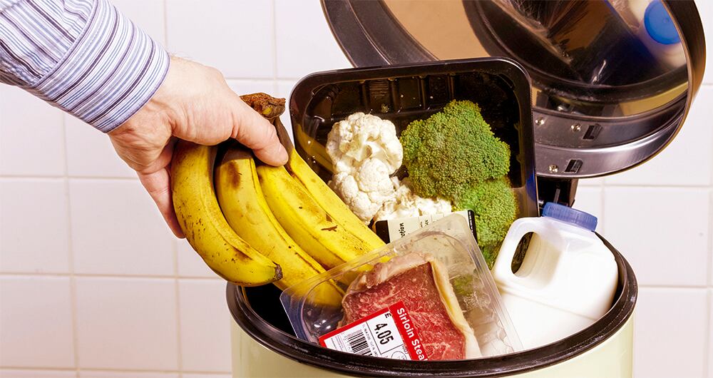 Más gemelos que nunca_5