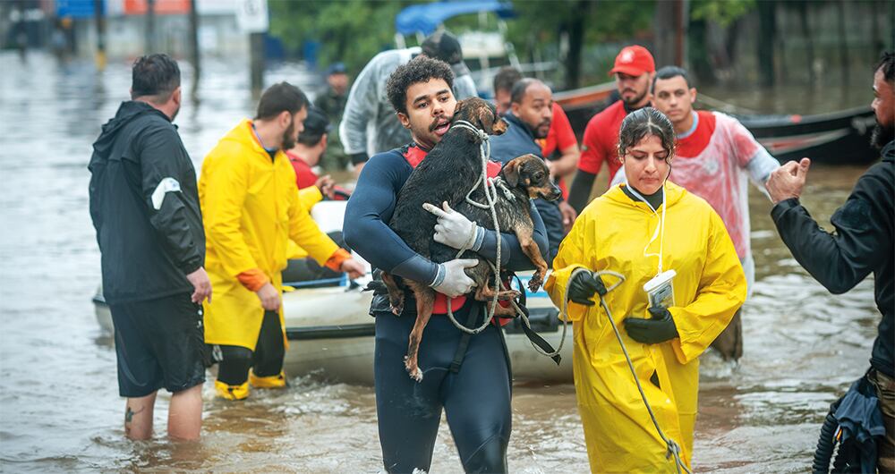 Muchas personas se han solidarizado con los más indefensos. 