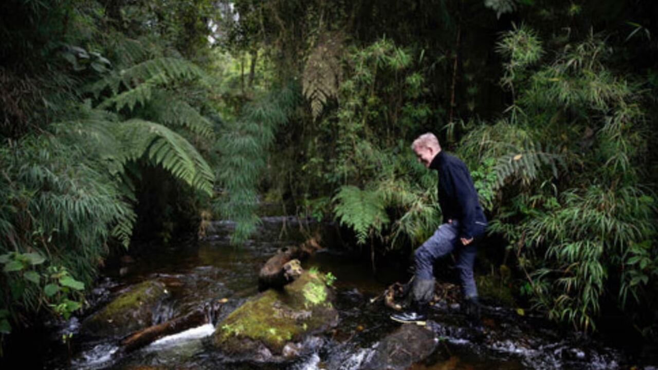 Christian Frimodt-Møller se radicó hace varios años en Risaralda