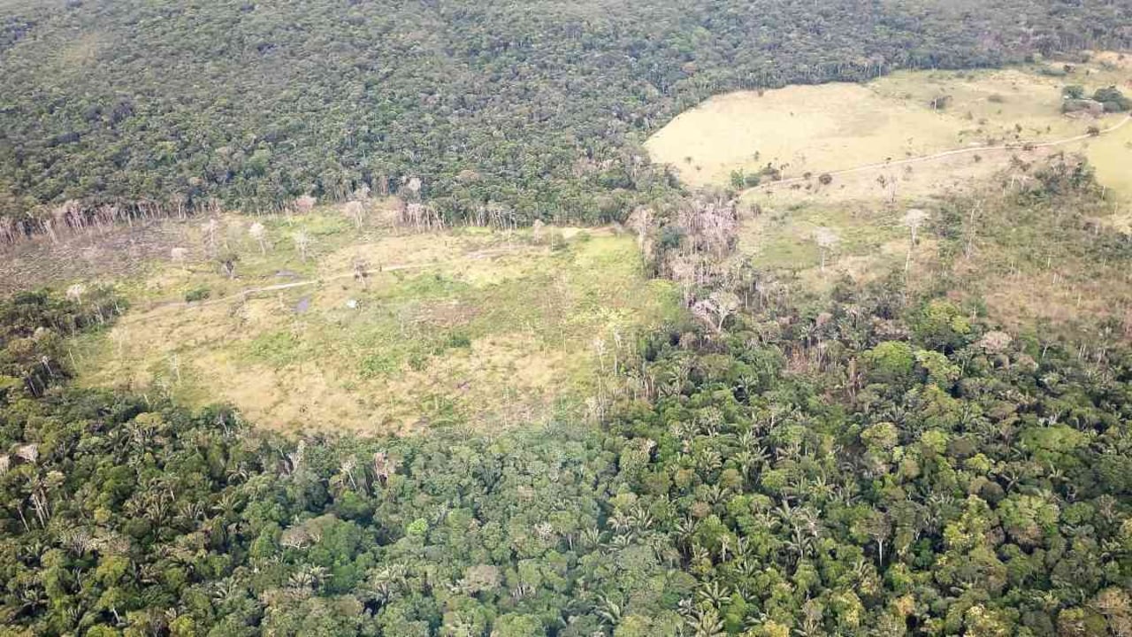 El Instituto Nacional de Investigaciones Espaciales informó que la deforestación en la Amazonia brasileña totalizó 2.254 km2 en julio, un 278% más que en el mismo mes de 2018 (596,6 km2). Foto: archivo/Semana.