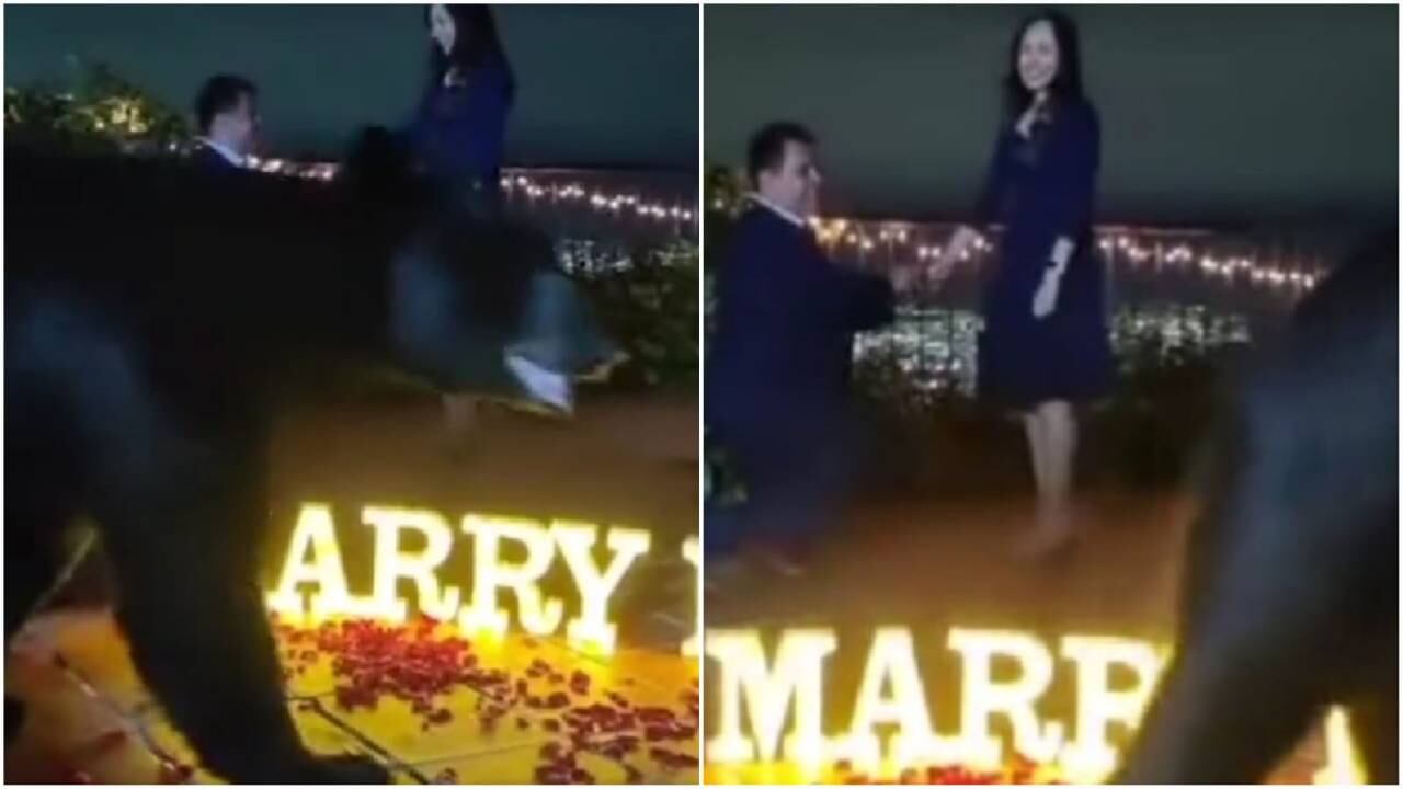 Oso interrumpe plena petición de matrimonio en México.