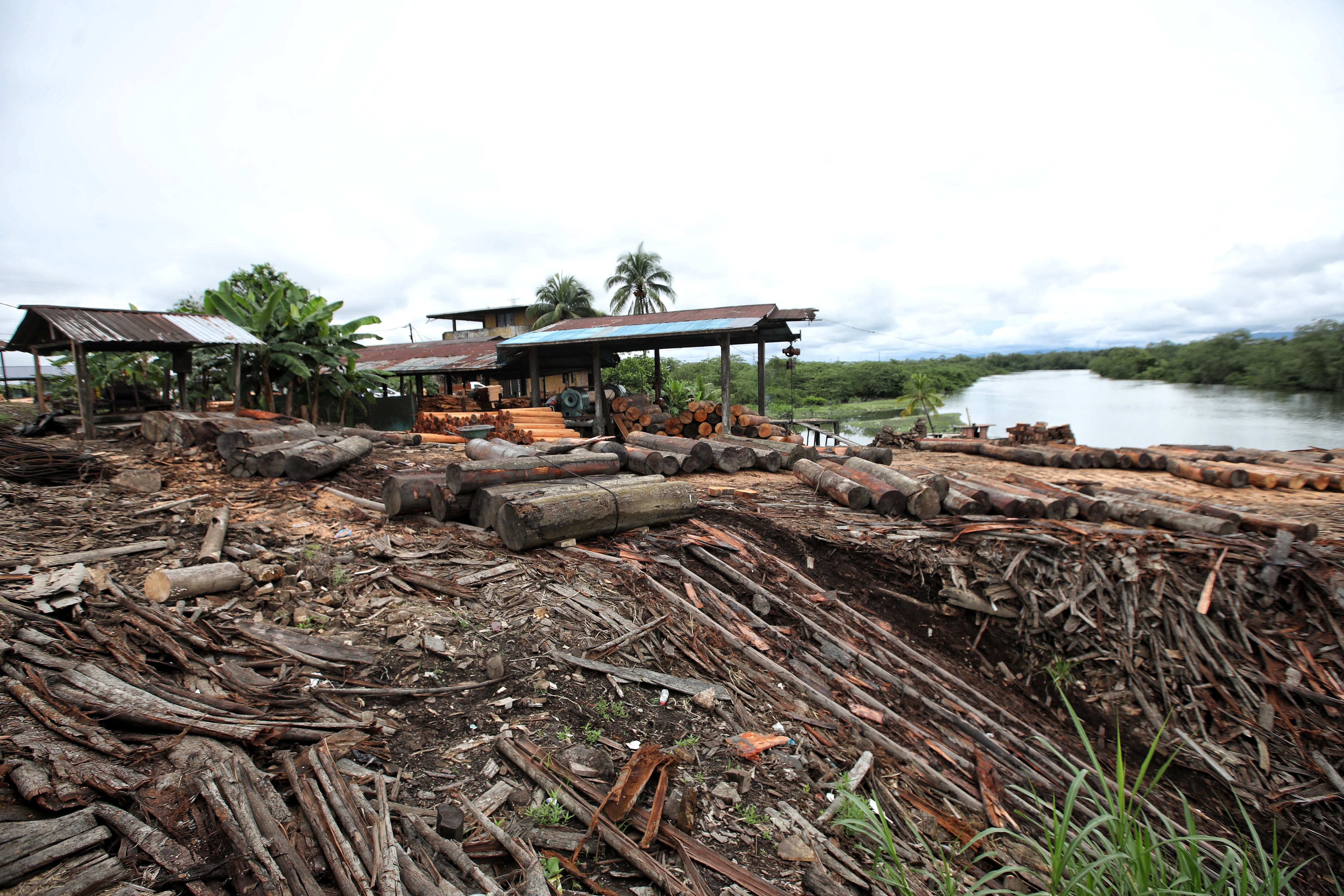 FOTO: ESTEBAN VEGA LA-ROTTA
OPERATIVO DE LA POLICIA NACIONAL PARA MITIGAR EL TRAFICO DE MADERA EN BUENAVENTURA
MADERA ILEGAL 
DEFORESTACION
OPERACION ALIANZA PACÍFICO
REVISTA SEMANA
25 DE MAYO 2022