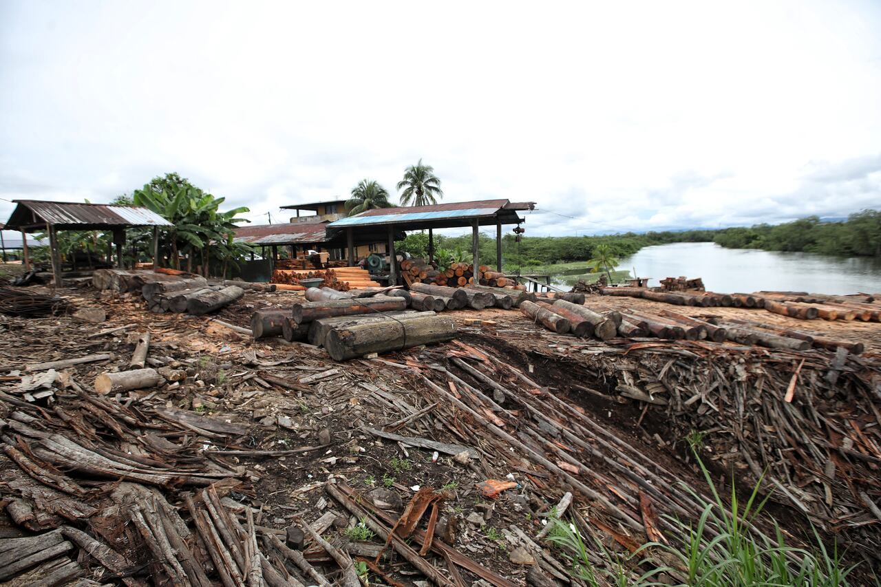 FOTO: ESTEBAN VEGA LA-ROTTA
OPERATIVO DE LA POLICIA NACIONAL PARA MITIGAR EL TRAFICO DE MADERA EN BUENAVENTURA
MADERA ILEGAL
DEFORESTACION
OPERACION ALIANZA PACÍFICO
REVISTA SEMANA
25 DE MAYO 2022