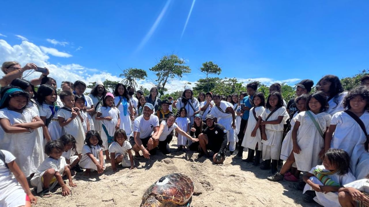 La comunidad Indígena Arhuaco Katansama despidió a Concha.