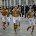 Presidente Nayib Bukele ejecuta el segundo traslado de 2,000 pandilleros al Centro de Confinamiento del Terrorismo