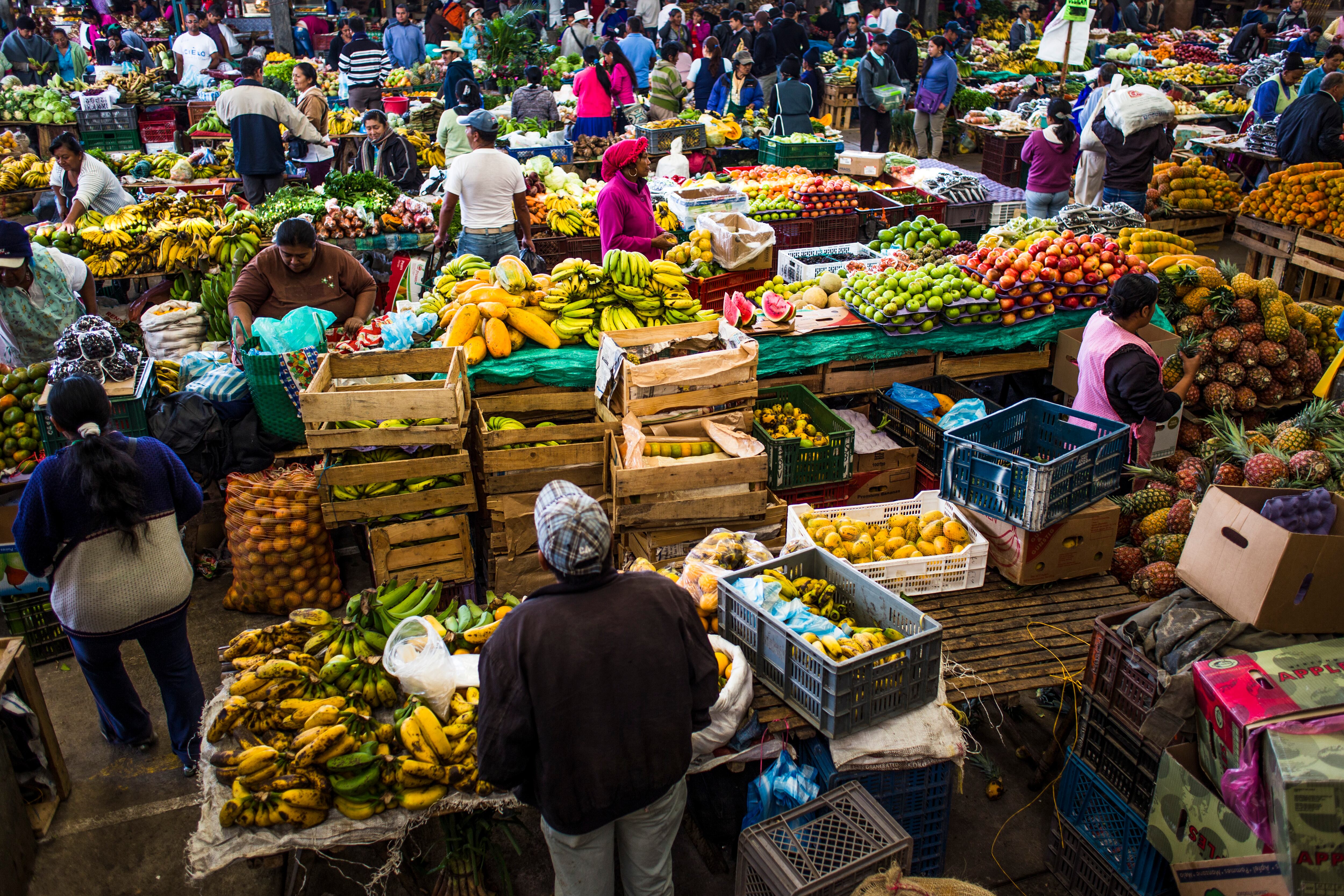 5 sitios turísticos de Popayán imperdibles para los amantes de la historia y la cultura