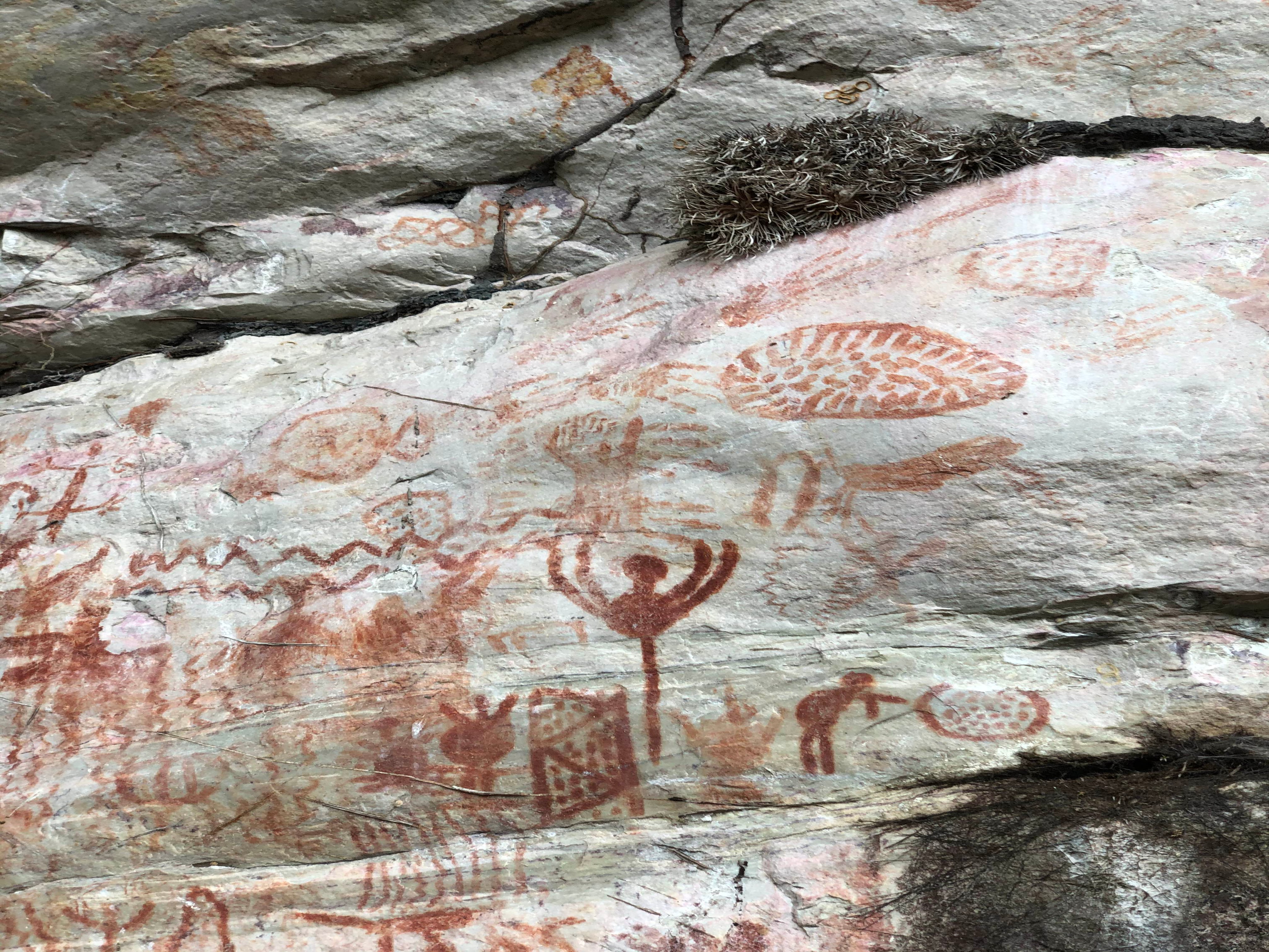 Las pinturas rupestres en la serranía de La Lindosa, en el Guaviare.