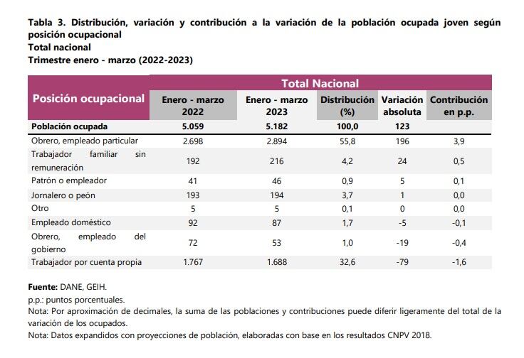 Posición ocupacional de los jóvenes en el primer trimestre del 2023.
