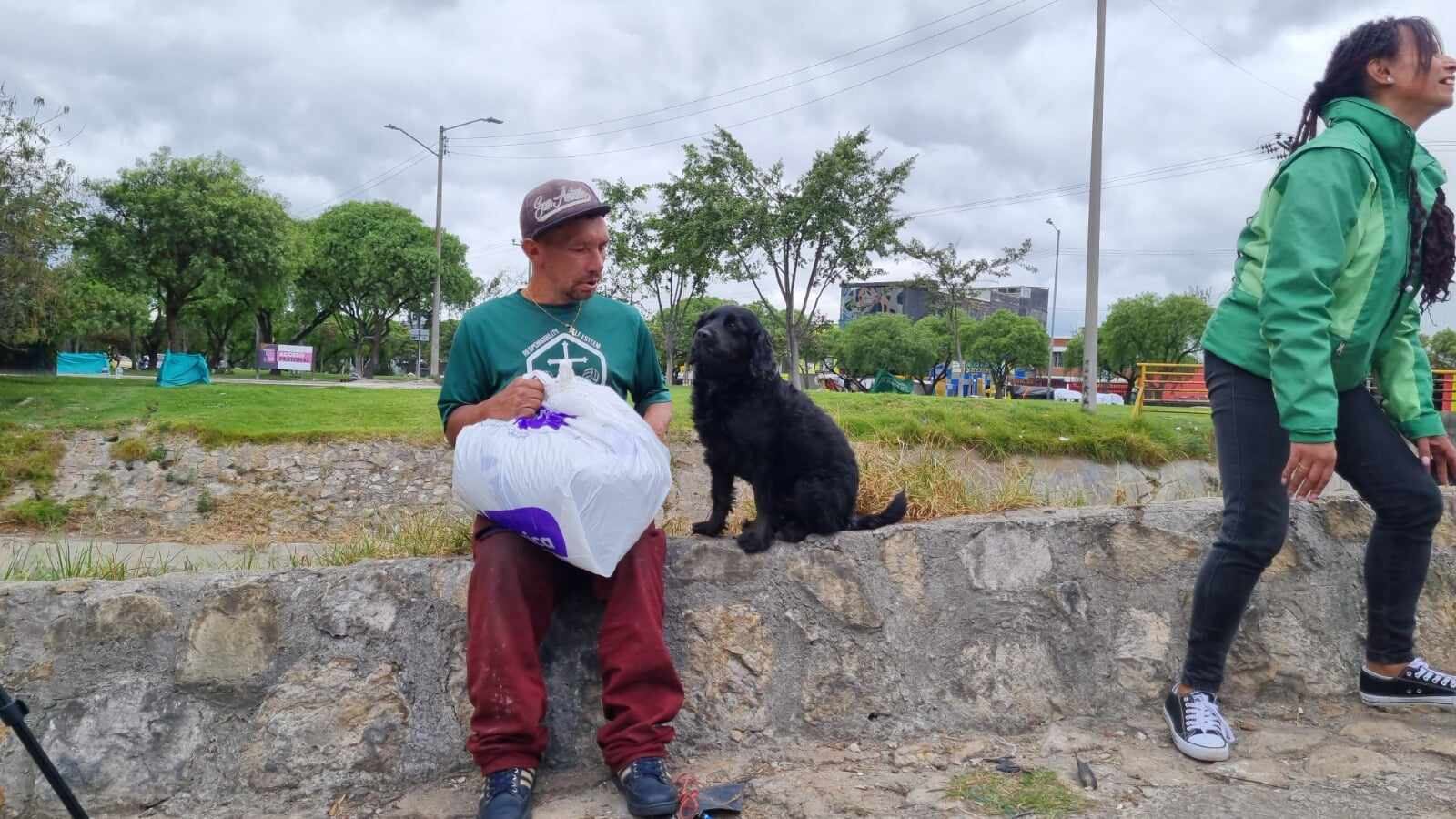 Los perros siempre están en busca de amor. Hay que protegerlos.