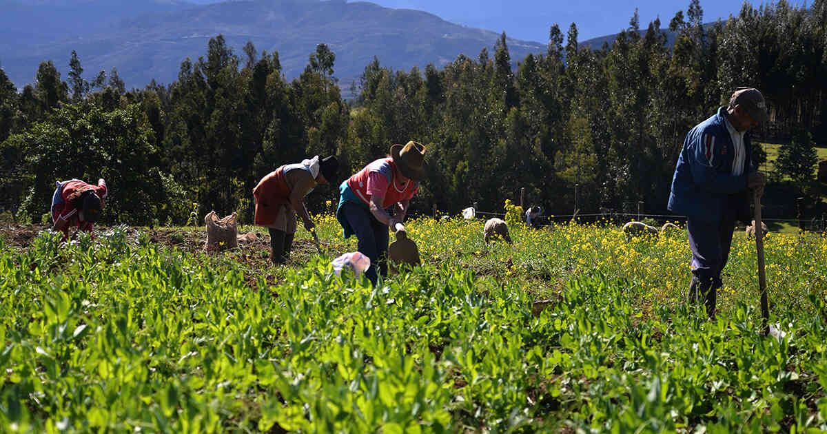 El crédito servirá para distintos departamentos del país.
