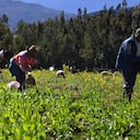 Foto: Andrés Gómez Giraldo