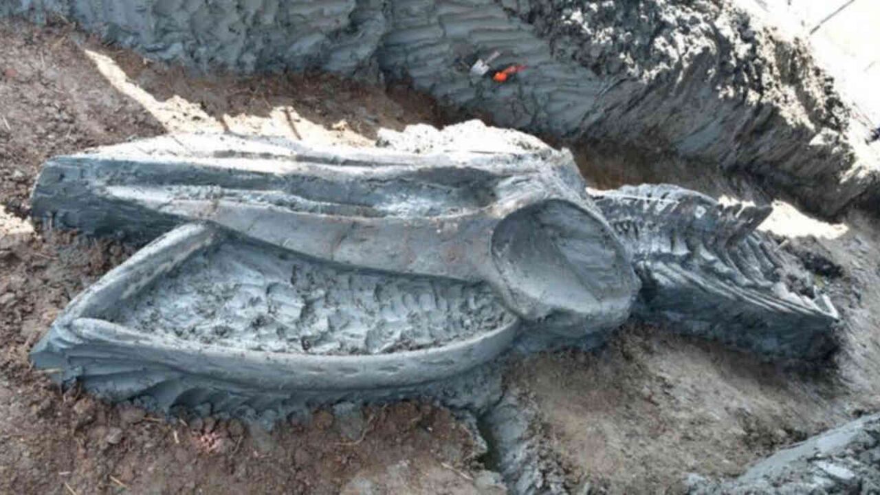 Los huesos todavía deberán ser sometidos a datación por carbono. Foto: Facebook.com/Topvarawut vía BBC