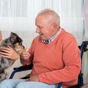 La terapia con animales es ideal para las personas adultas.