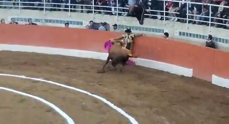 En el primer toro de la tarde Luis  Bolívar se enredó en el ruedo con su capote y el ejemplar de Mondoñedo lo llevó a las tablas y lo golpeó con bastante fuerza.