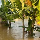 Desde el 2020 hasta la fecha, se ha presentado en dos ocasiones el Fenómeno de la Niña en la capital del Valle.