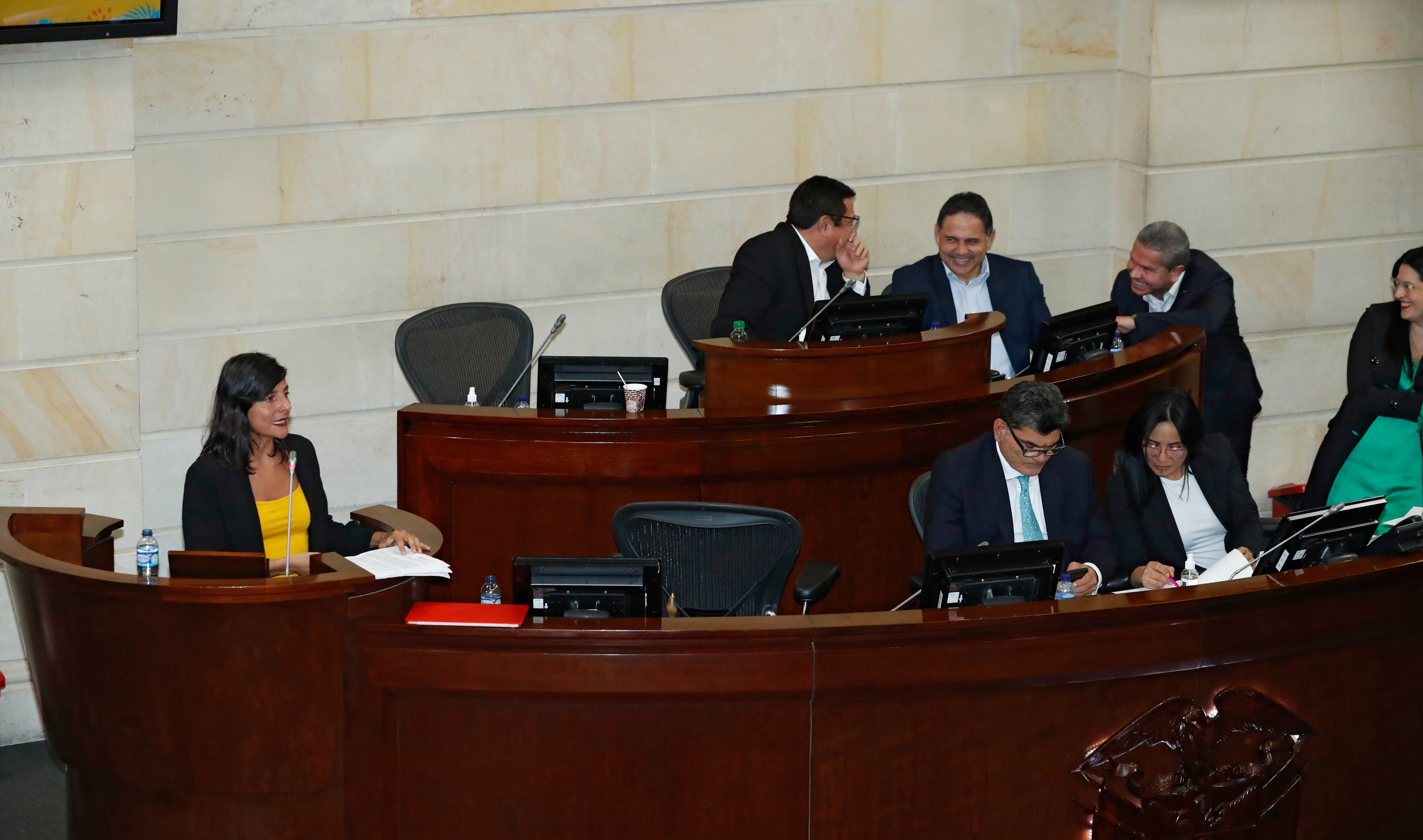 Ministra de Minas y Energía Irene Vélez