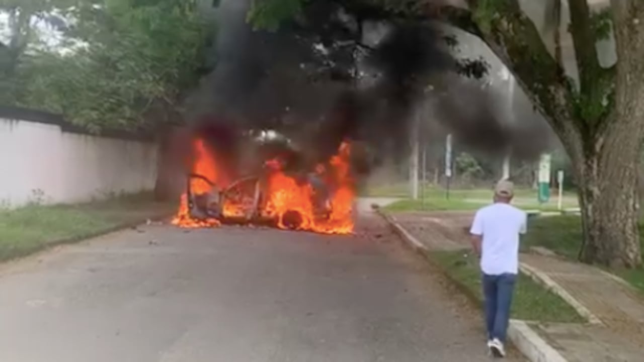 Videos conocidos por SEMANA muestran la magnitud del desastre que se está viviendo en la capital del Valle del Cauca.