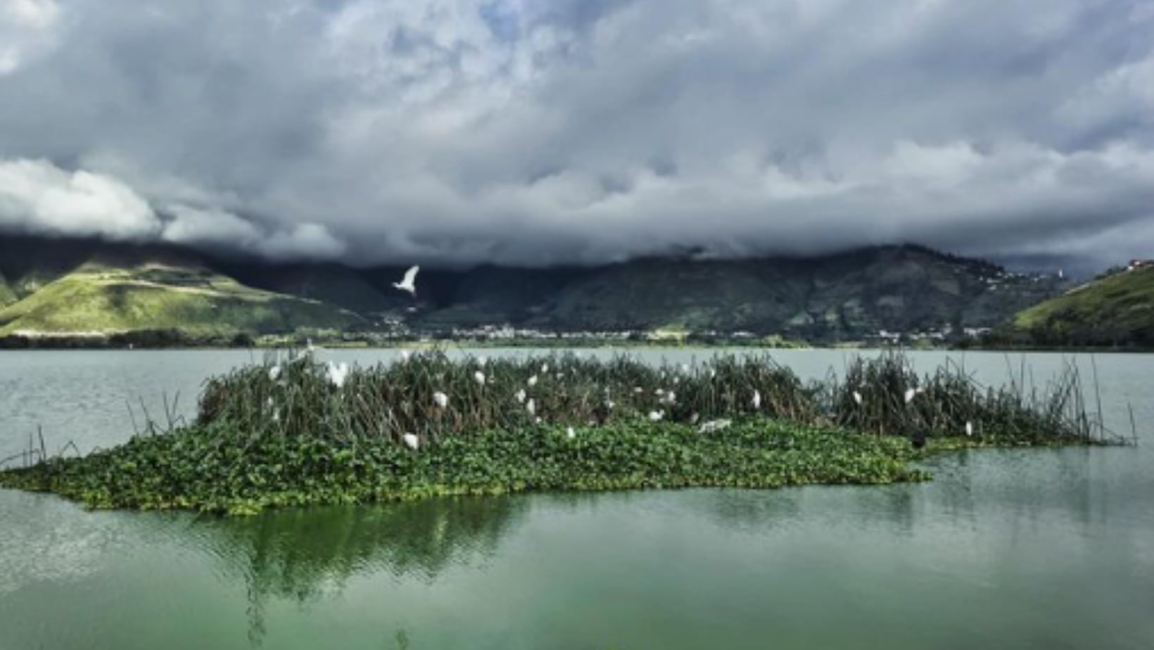 Ibarra,  una de las ciudades más tranquilas para visitar en Ecuador