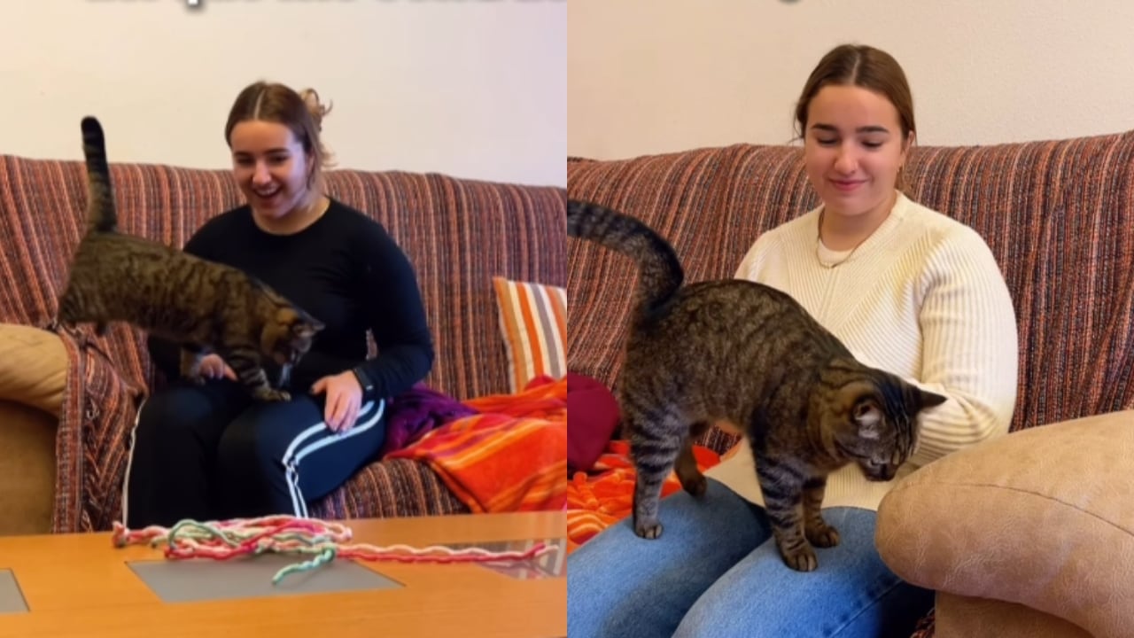 Esta es la influencer junto con la gata que tuvo que cuidar.