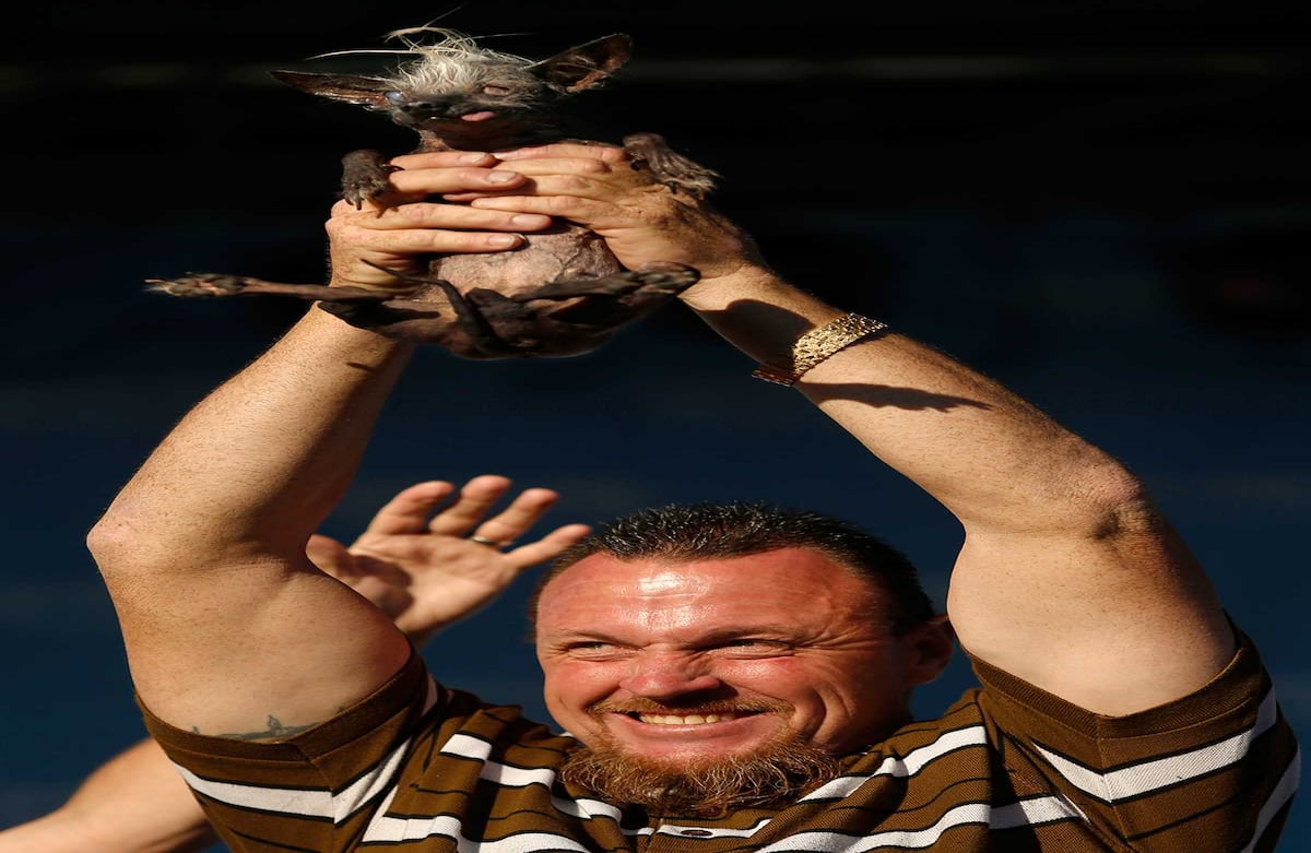 Alvin Jornada / The Press Democrat via AP