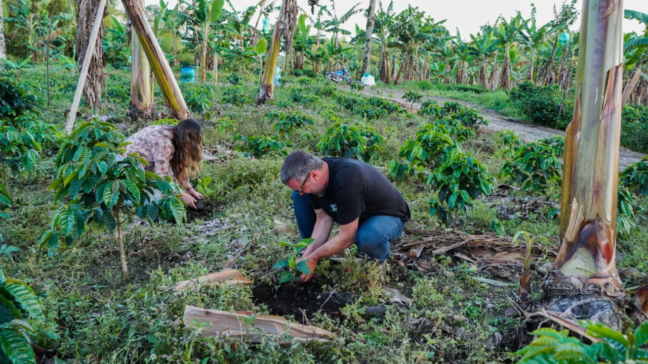 De acuerdo con las estimaciones del equipo de Investigaciones Económicas, Sectoriales y de Mercado de Bancolombia, el producto interno bruto (PIB) agropecuario podría crecer 1,6 % en 2027.