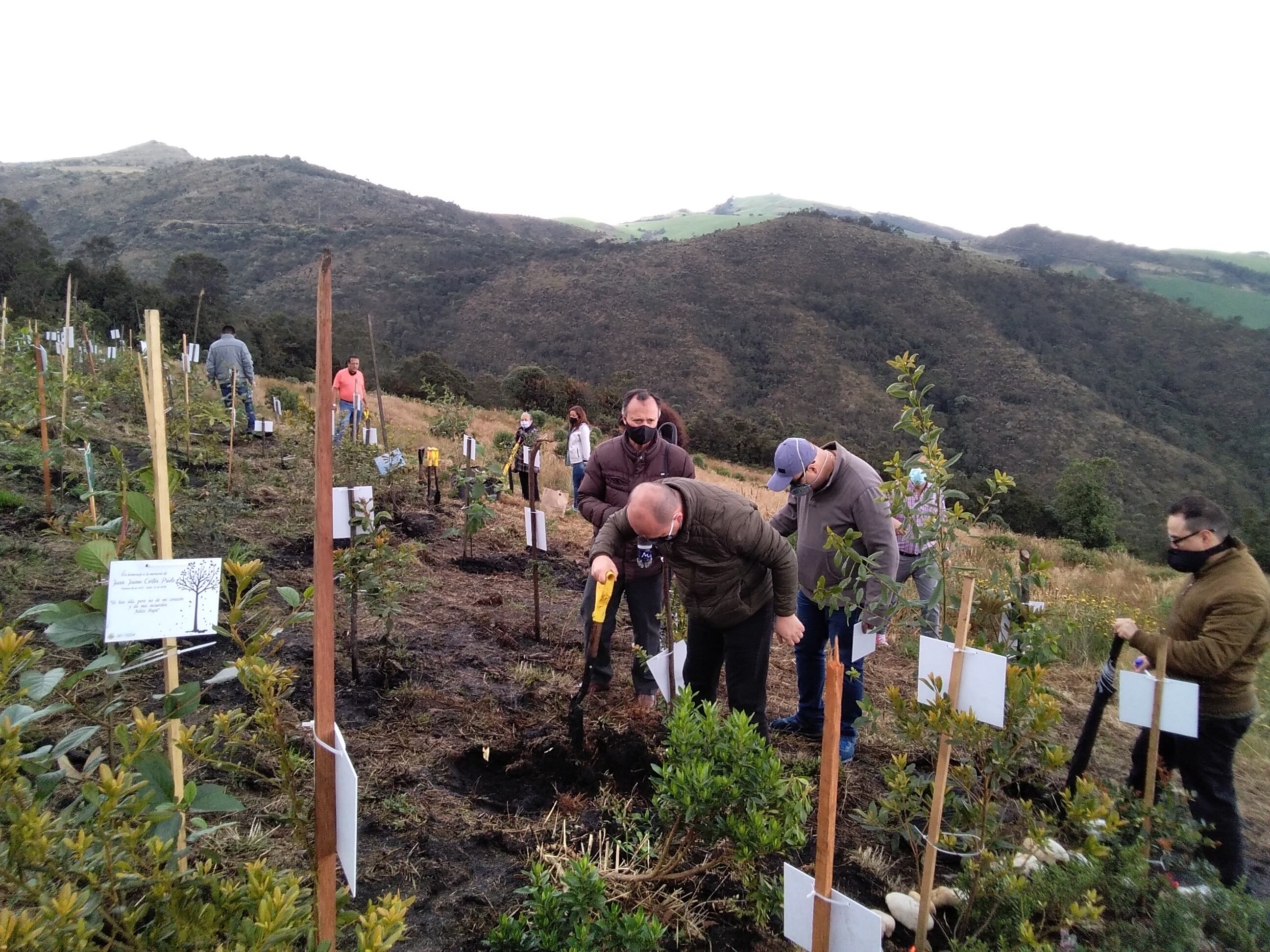 Un bosque en homenaje a los fallecidos de Covid
