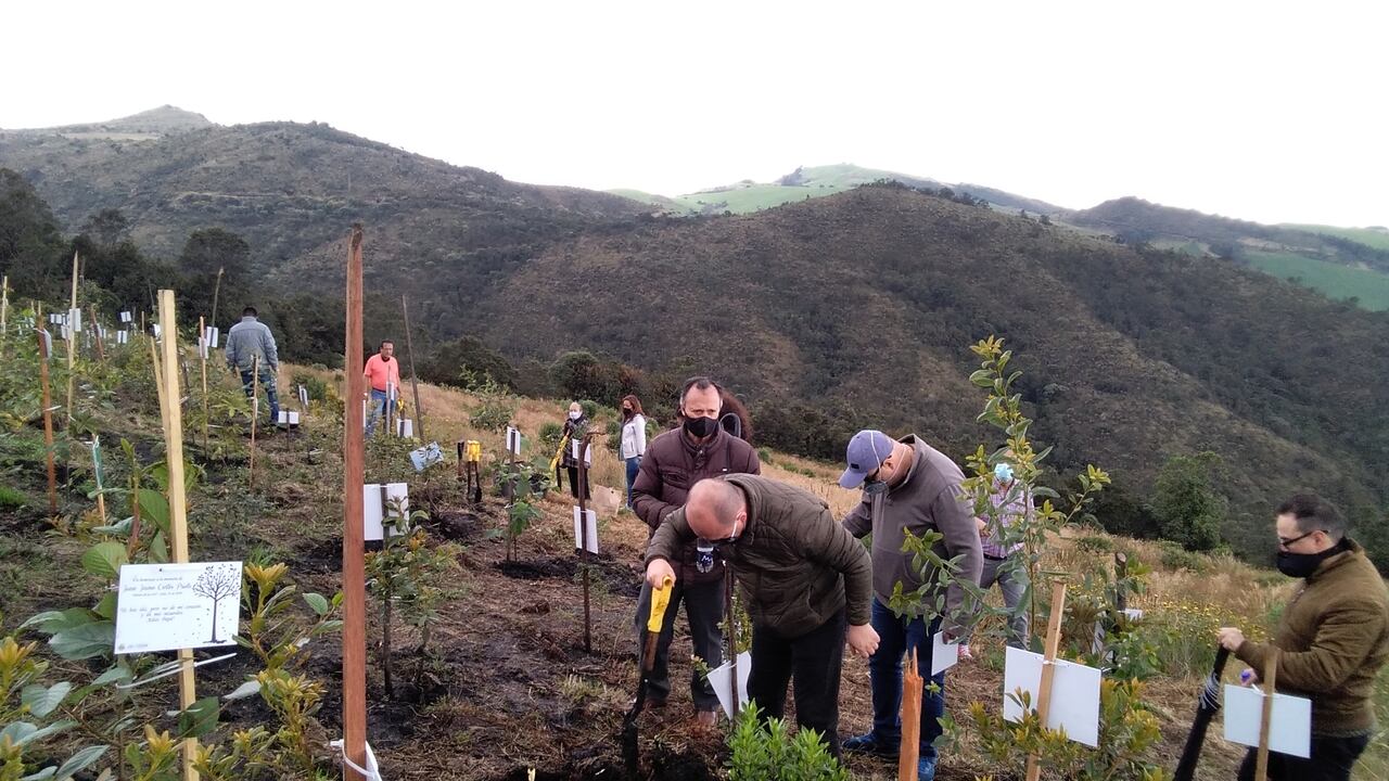 Un bosque en homenaje a los fallecidos de Covid