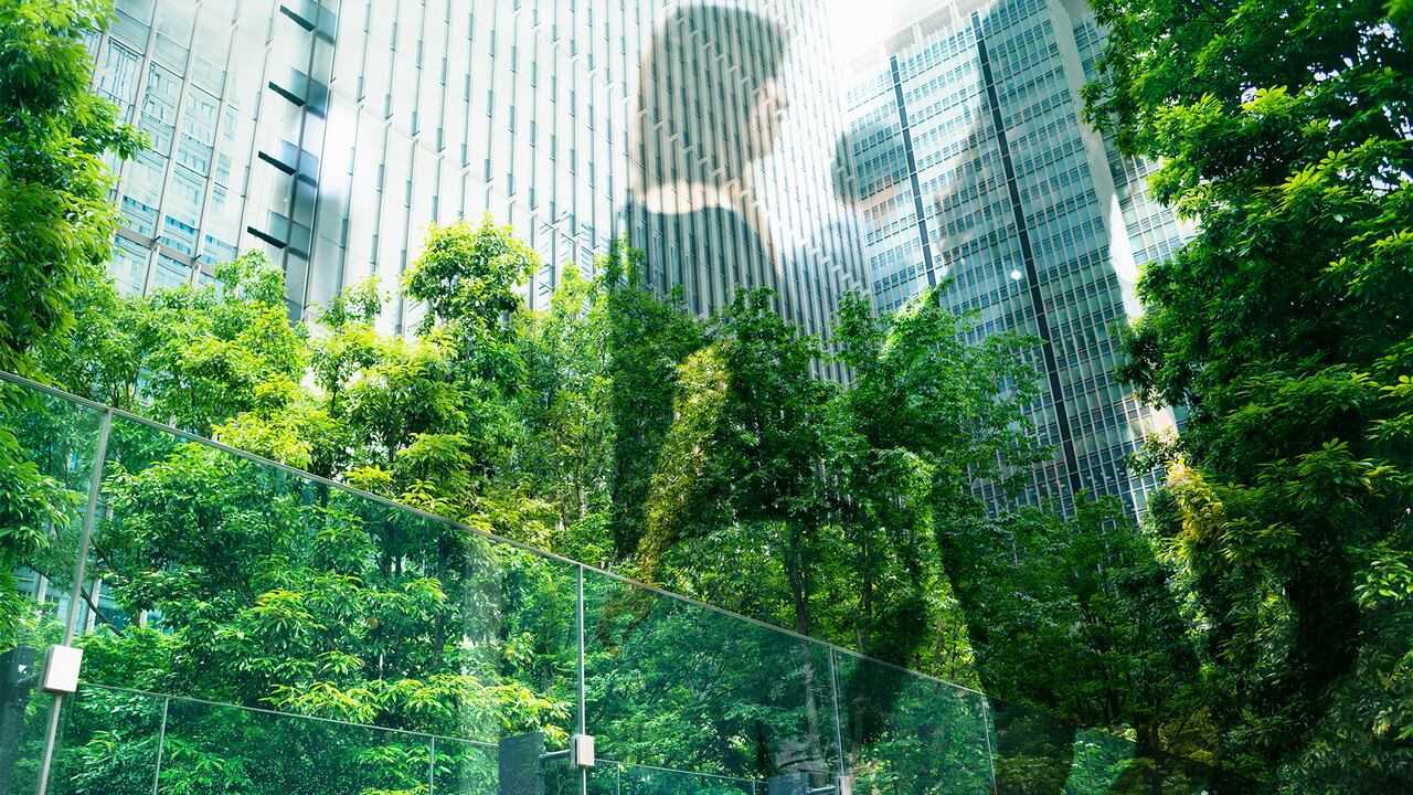 NO USAR, USO EXCLUSIVO MEJOR COLOMBIA, Especial Construcción, Construcciones Sostenibles