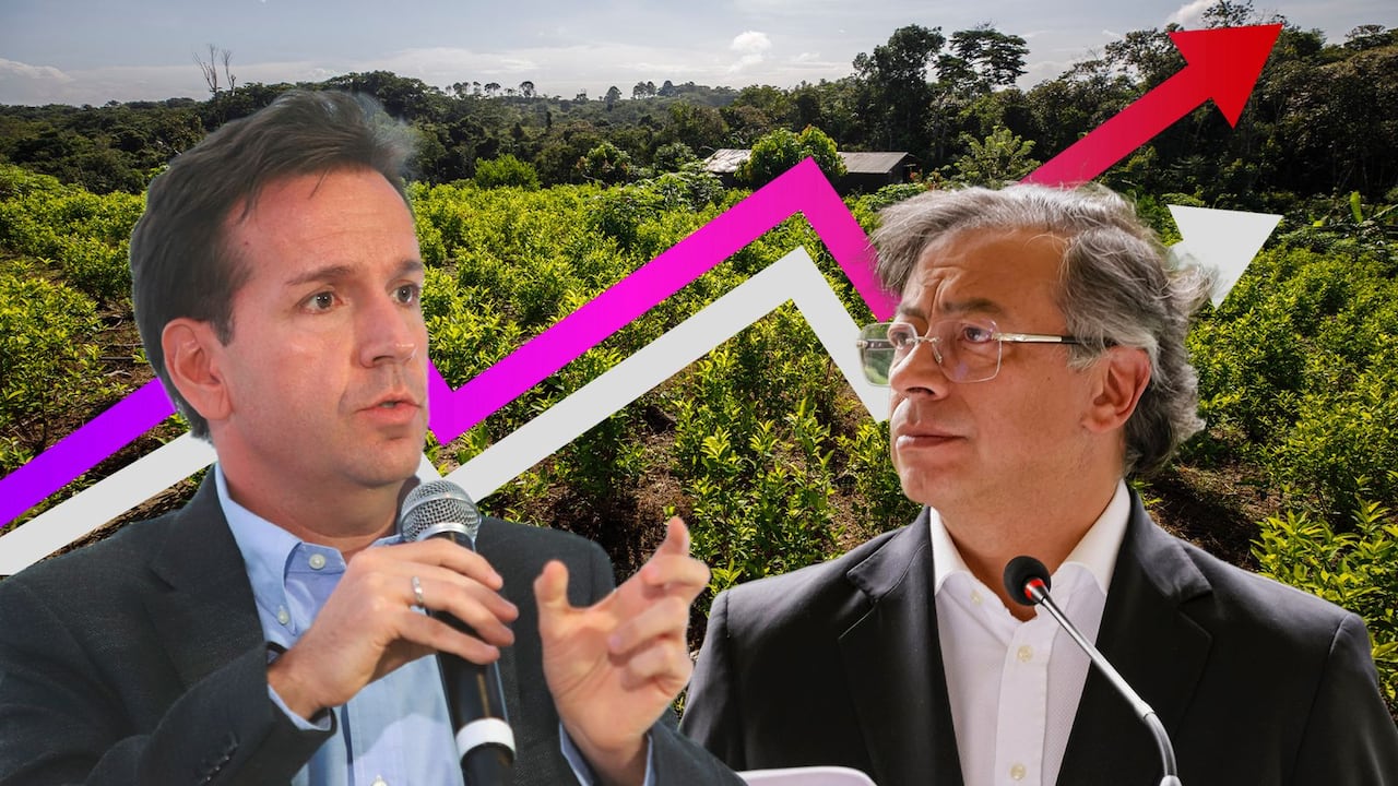 "Colombia se enfrenta a una reducción del 93 % en los esfuerzos de erradicación manual en los últimos dos años y medio. Es decir, prácticamente se acabó el programa”, sostiene Daniel Mejía.