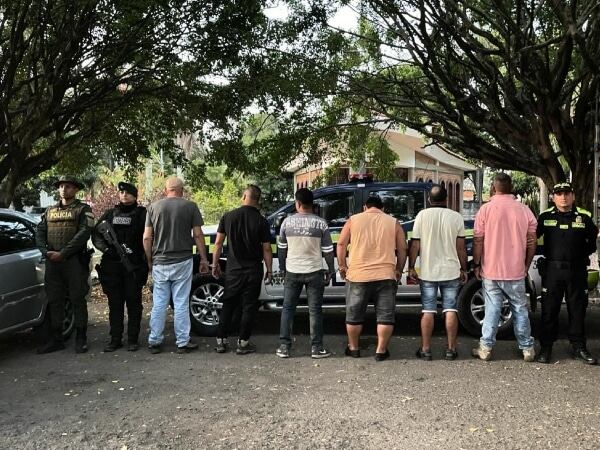 Capturados por hurto de cerdos.