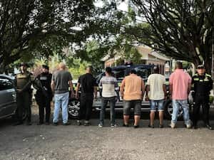 Capturados por hurto de cerdos.