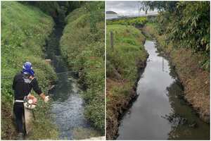 En la limpieza se hace una rocería, que es guadañar a lado y lado entre uno y dos metros sobre la ronda de la quebrada.