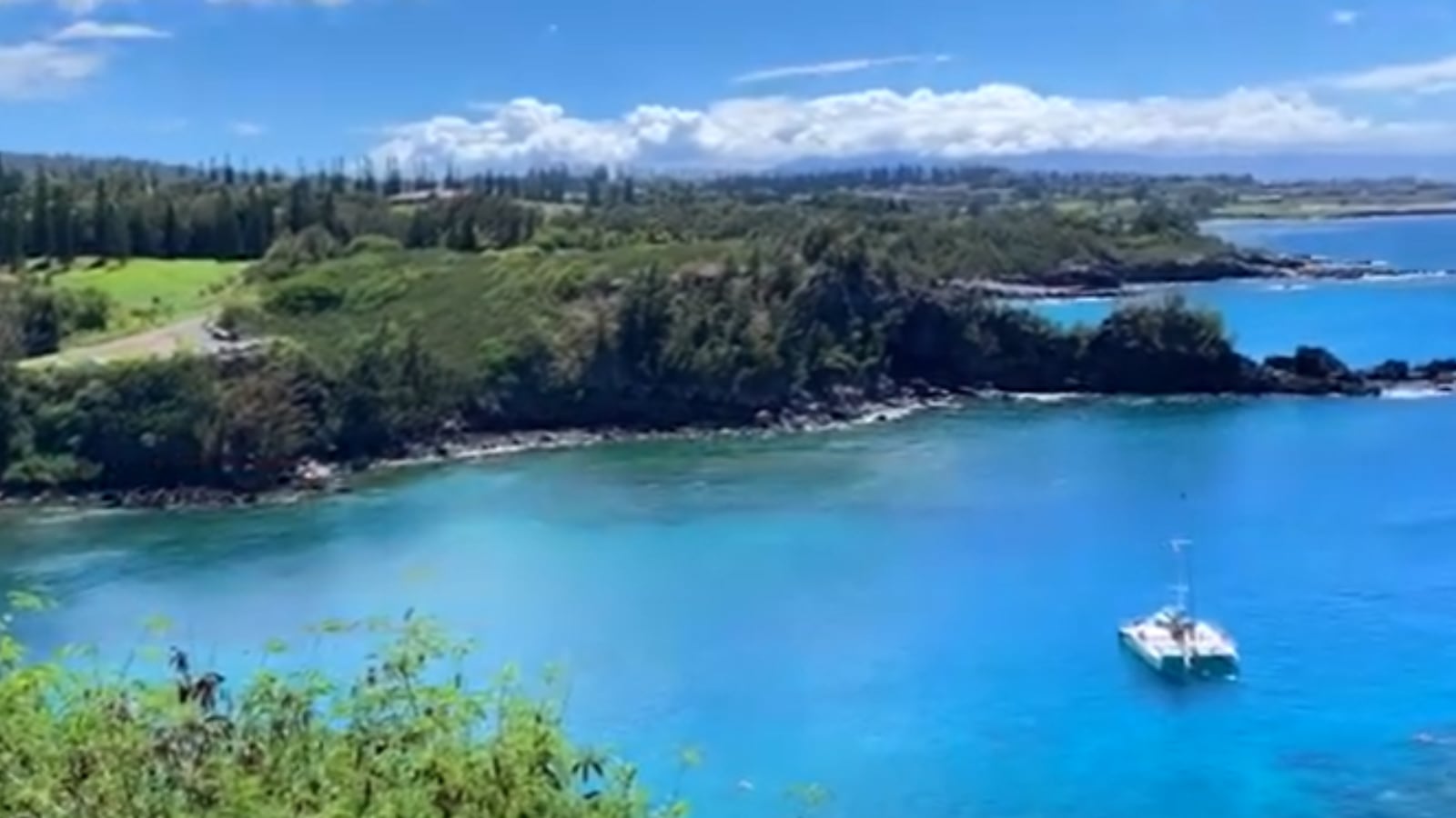 Honolua Bay, en la isla de Maui, busca el reestablecimiento de su ecosistema de corales