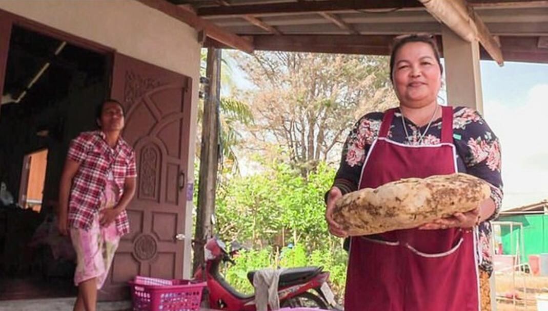 Mujer salir de la pobreza con vómito de animal